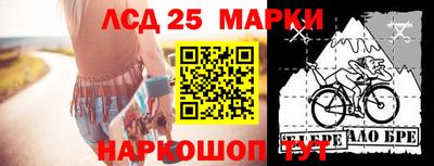 гашик Гагарин