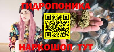 тгк Гай
