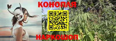 соль ск Гатчина