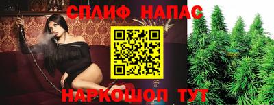 Альфа ПВП Бийск