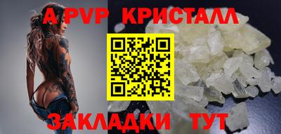 тгк Гай