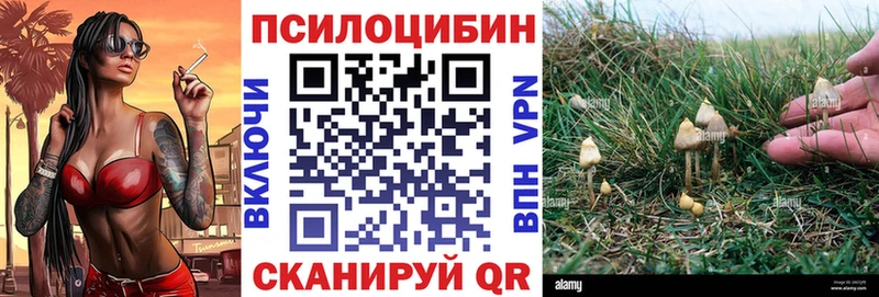 Псилоцибиновые грибы Cubensis  купить наркоту  Воркута 