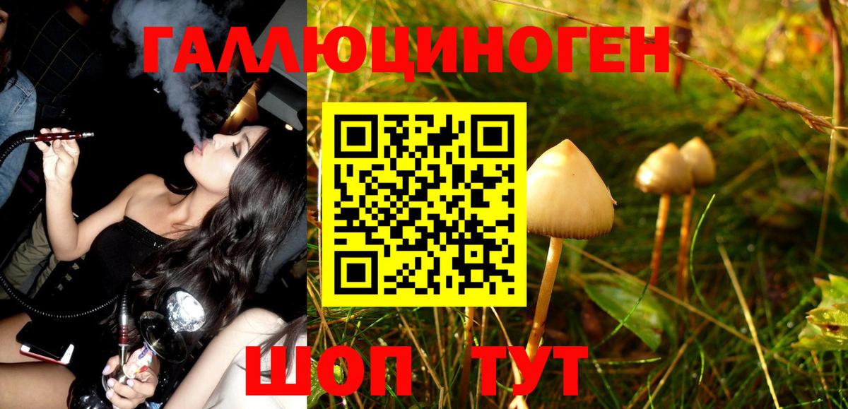 APVP Воркута