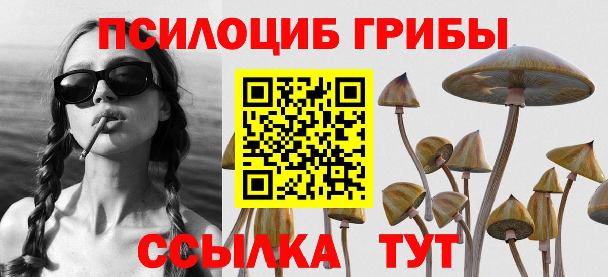 Воркута  Псилоцибиновые грибы GOLDEN TEACHER  Псилоцибиновые грибы прущие грибы  Вход с VPN 