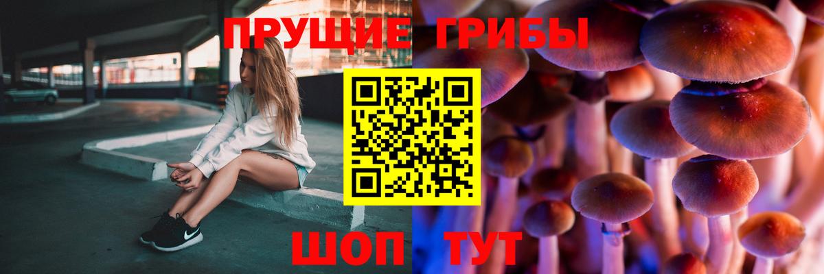 Галлюциногенные грибы Magic Shrooms  Псилоцибиновые грибы GOLDEN TEACHER  Воркута 